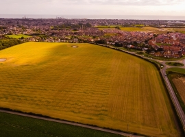 green grass field during daytime